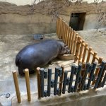 phoca_thumb_m_vlet km 16 Fotogalerie